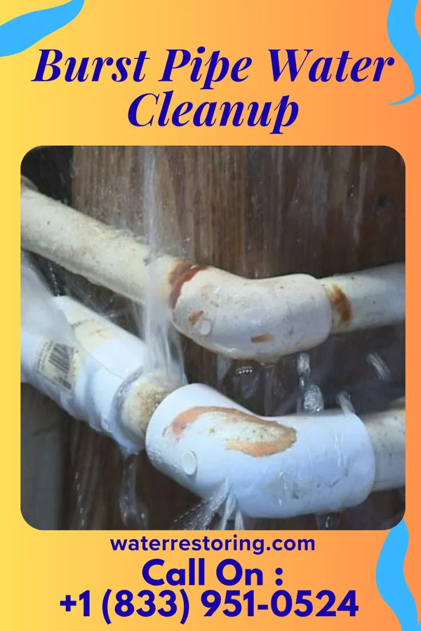 Burst Pipe Water Cleanup in Mondamin, IA
