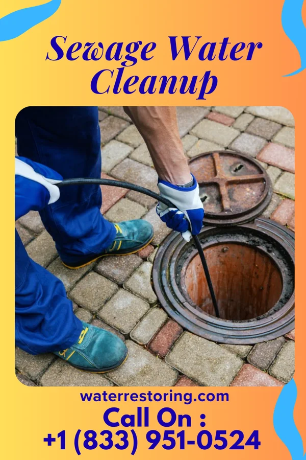 Sewage Water Cleanup in Mondamin, IA